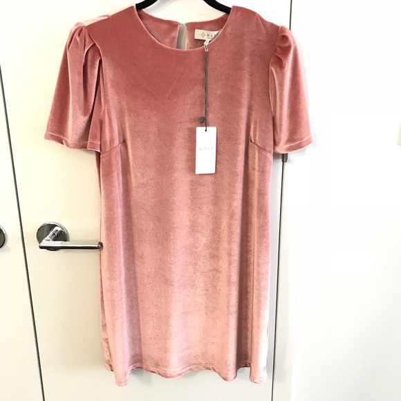 Wayf Dresses & Skirts - NWT WAYF Pink Velvet Puff Sleeve Mini Dress
